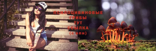 СК Волосово