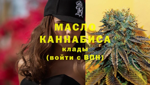 мдпв Волоколамск