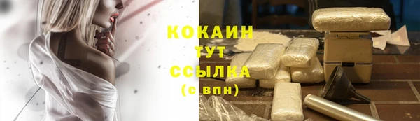 СК Волосово
