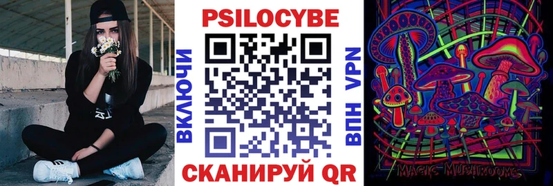 Купить  Рассказово  Галлюциногенные грибы Psilocybe 